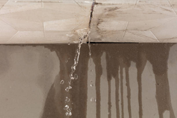 Professional Water Damage Repair technician working in Sachse, TX